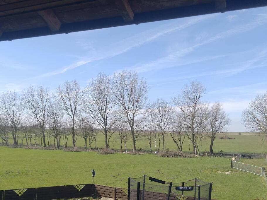 Erholung Auf Der Deichschaeferei Mit Deichblick Lejlighed Schillig Eksteriør billede
